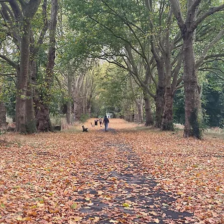 Peaceful 3 Double Bed House By Park * بريستول