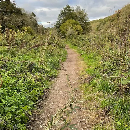 Peaceful 3 Double Bed House By Park بريستول