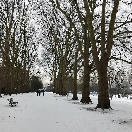 Peaceful 3 Double Bed House By Park * بريستول