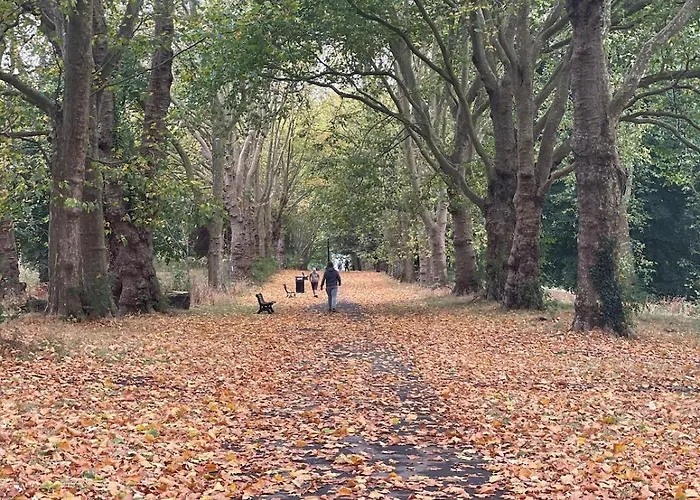 Peaceful 3 Double Bed House By Park * Μπρίστολ