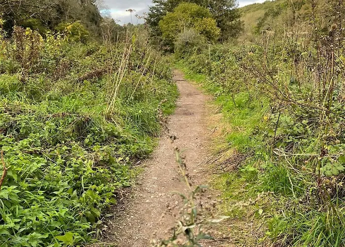 Peaceful 3 Double Bed House By Park Μπρίστολ