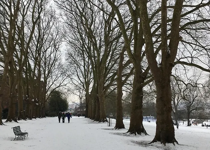 Peaceful 3 Double Bed House By Park * Bristol