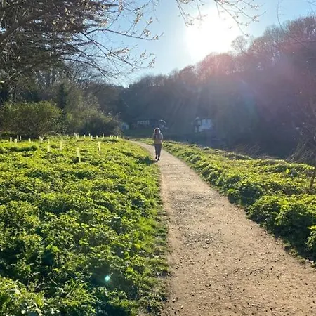 Ferienhaus Peaceful 3 Double Bed House By Park *