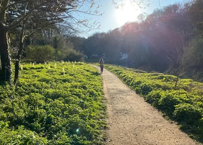 Vakantiehuis Peaceful 3 Double Bed House By Park *